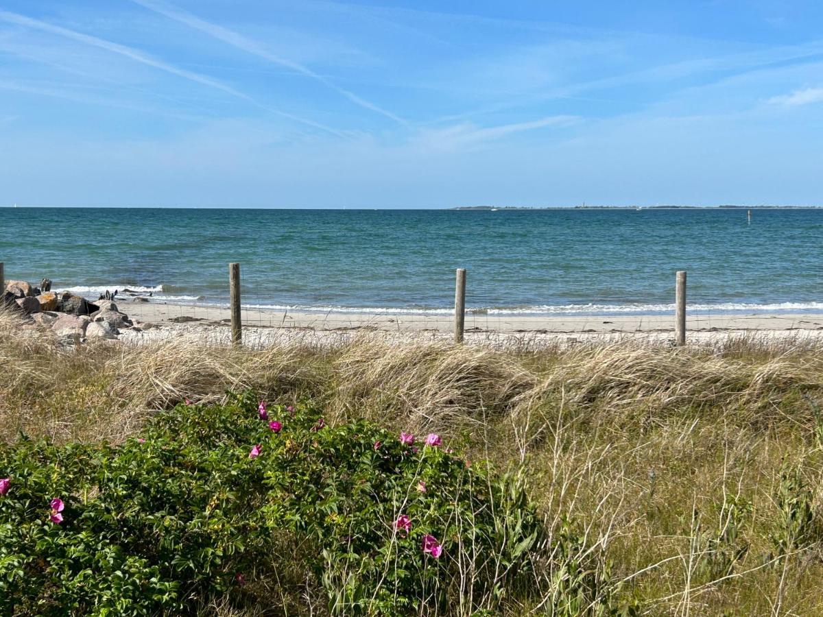 Wasserblick, In 3 Min Am Strand Heiligenhafen Luaran gambar